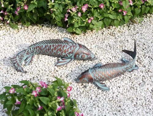 CLYB Koi Fish Set