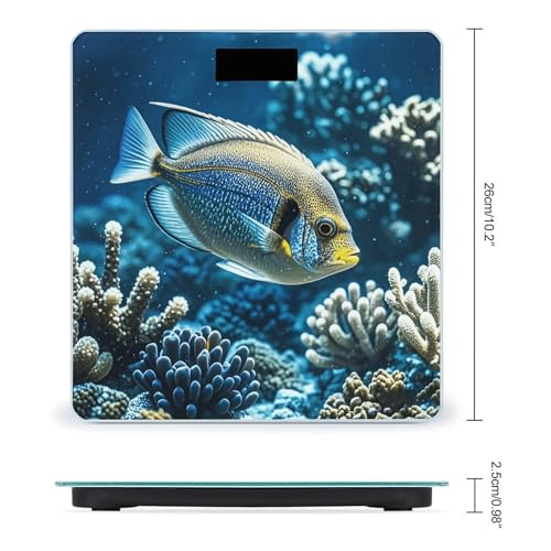 Báscula de Baño Digital de Vidrio Templado 400 lb LCD miniatura 2