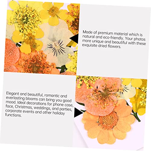 Kit 40 flores prensadas secas color naranja para manualidades miniatura 6