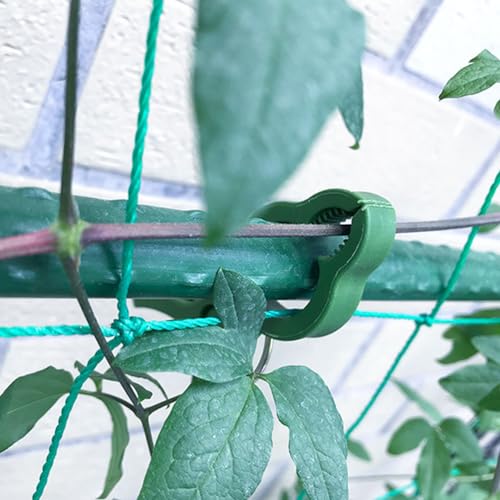 BESPORTBLE Pack of 50 Garden Clips for Tie Set Plant Clip Tomato Plants Wine Stem Clips Clip for Plant Stems Ties Set Plant Support Clamp Attachment Clip Plastic Ring - Image 4