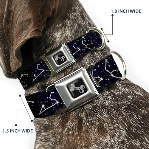 Collier pour chien constellation blanc idéal pour sorties citadines et parcs