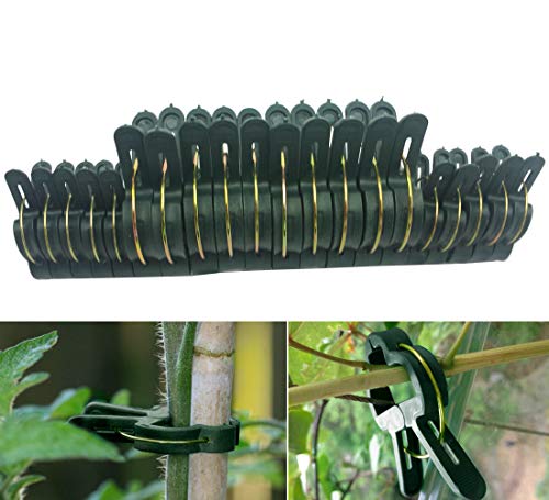 Schone Products (UK) Reusable Plant Clips- Gardening Supports for Upright Plant Growth (20)