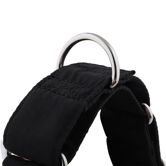 Foto 7 de 7 de Snootiful Hound Collar Martingala acolchado, color negro, ideal para galgos, látigos