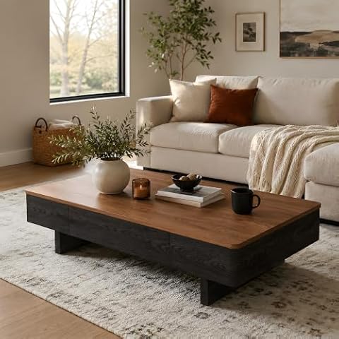 Heliosrider 47.2" Solid Wooden Coffee Table with 2 Drawers, Rectangular Coffee Table — $499.00 (6% off)