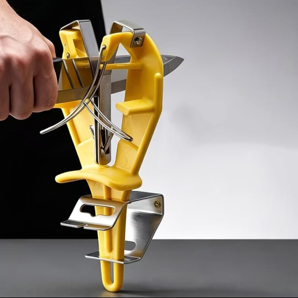 Aiguiseur de Couteaux en Acier Inoxydable avec Support, Aiguiseur de Maintenance Professionnel pour Couteaux de Cuisine
