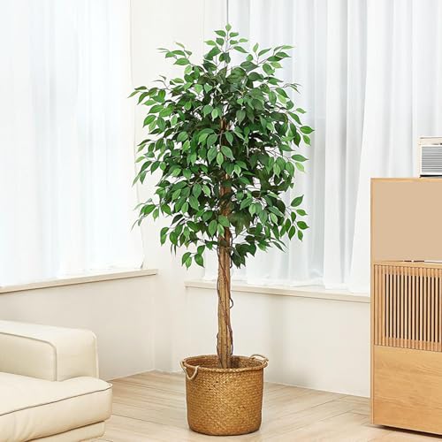 [LJKI] xW~ tFCNO[ 120cm ϗt lHϗtA ^ sv ȒP p  O Lb` ItBX rO  A  Ύ  lH CeAO[ Mtg v[g j