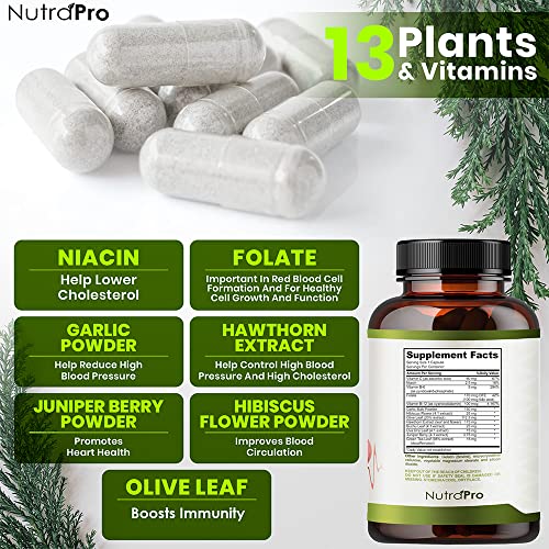 Coronary heart Well being Blood Strain Help Complement - Help Blood Strain & Wholesome Circularity Naturally with Hawthorn Berry & Hibiscus.Nutritional vitamins Tablets for Wholesome Hypertension (BP) & Wholesome Coronary heart. - Image 6