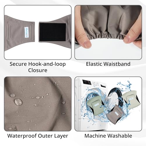 Image of Paw Legend Washable Dogs Diapers Male Dog Belly Bands for Male Dogs Diapers Reusable Puppy Doggie Diapers Male (3 Pack, X-Small)