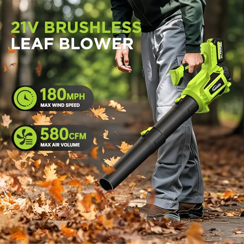 Cordless Leaf Blower with 2 Batteries, 580CFM Brushless Motor for Easy Lawn Care & Car Drying, Lightweight Handheld Blower Ideal for Women & Seniors, Fast Charger Included