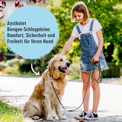Aystkniet Schleppleine 5M für Hunde, Hundeleine mit Abnehmbare Elastische Kordel | Abschließbarer Haken | Gepolsterter Griff, Lange Laufleine Trainingsleine für Mittlere und Große Hunde