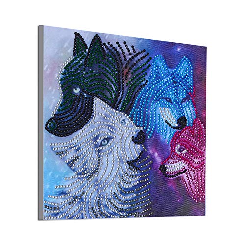 Leeofty DIY 5D Pintura Diamante Kits DIY Broca Pintura Diamante Needlework Pintura De Cristal Strass