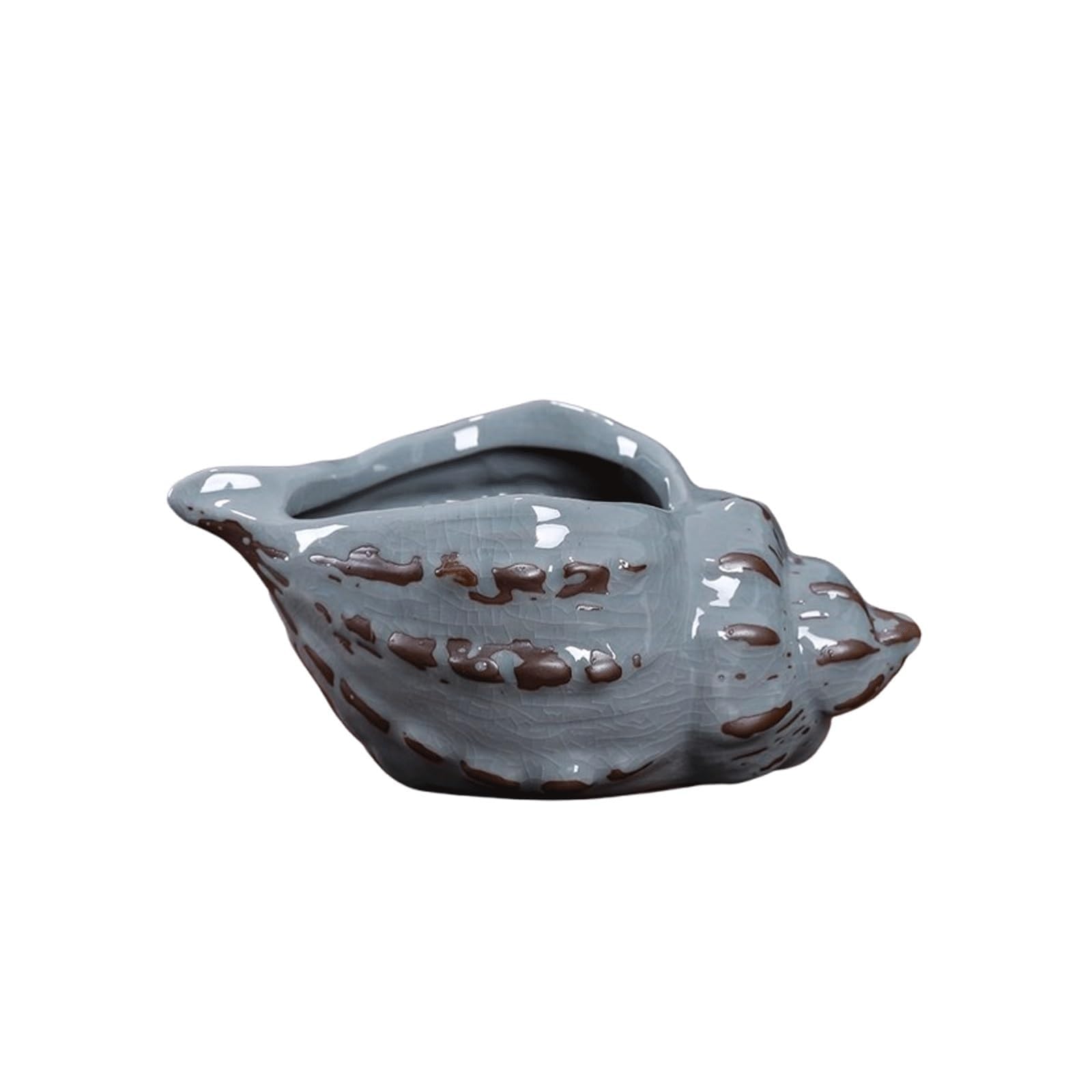 WxuuLTGJR Conch Flower Pots Planters with Drainage Hole