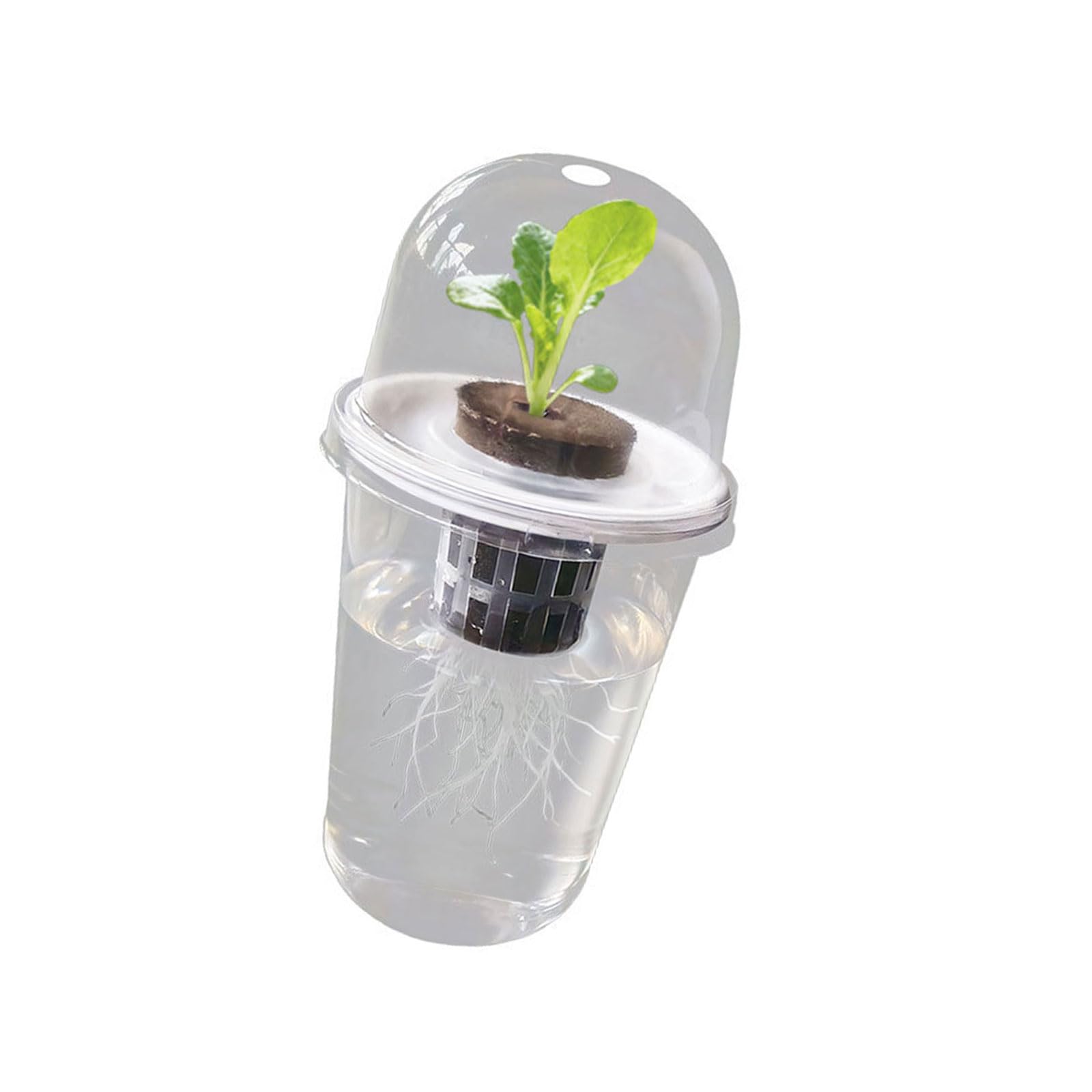 Shurhome Hydroponics Growing Planting Container Hydroponics Supplies Plant Container for Vegetable Beet Kitchen Accessories Transparency Hydroponic Seedling Starter Aerating Cylinder Planter