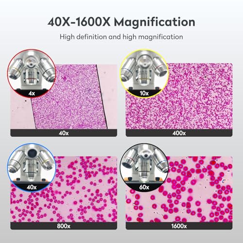 Digital Microscope with HDMI Output