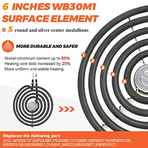 2026 Upgraded ERS30M1 WB30M1 Electric Stove Burner by Beaquicy - Replacement for 6 Inch Surface Element fit for GE Hotpoint Kenmore Electric Range Stove - 5 Turns with Silver Center Medallion, 240V