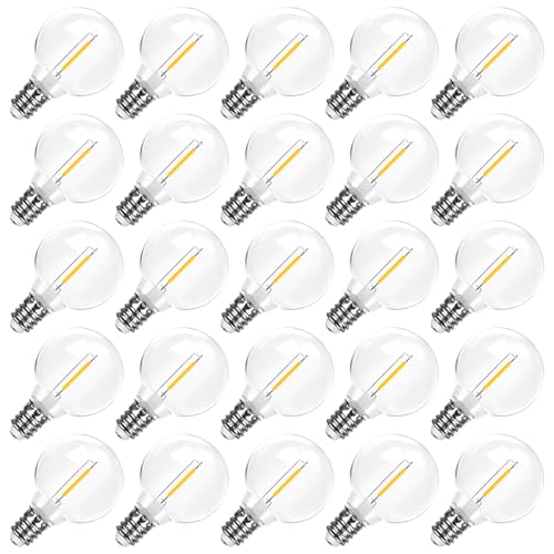 LangPlus+ Lot de 25 Ampoules LED G40 Incassable, Basse Tension DC 24V 1W Culot E12, Ampoule LED Remplacement 2700K Blanc Chaud doux Edison Globe pour...
