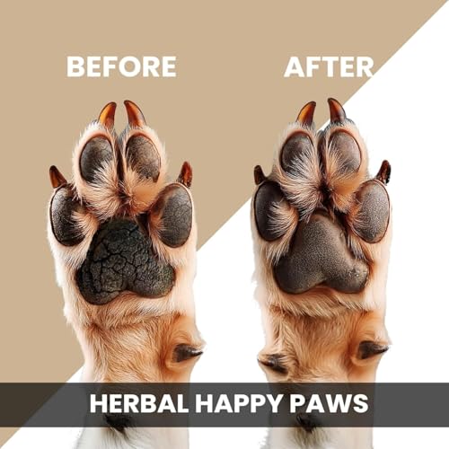 Image of Tell Tails Paw Cream for Dogs - 50g Pack of 2 - Hydrates, Protects & Heals Cracked Paws - Vitamin E, Candelilla Wax, Sea Buckthorn & Mint Oil - Restores Moisture & Shine - for Labrador & All Breeds