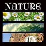 Forest Stream, Bird Sounds and Relaxing Piano Music for Sleeping Baby (Relaxing Piano Music for...