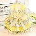 AZA Dog Princess Dresses for Small Dogs Lolita Clothes Flowers Cat Costume Pet Suspenders Girl Cute Bow Lace Coat Yellow Floral Outfits Summer Costumes (L,Blue)