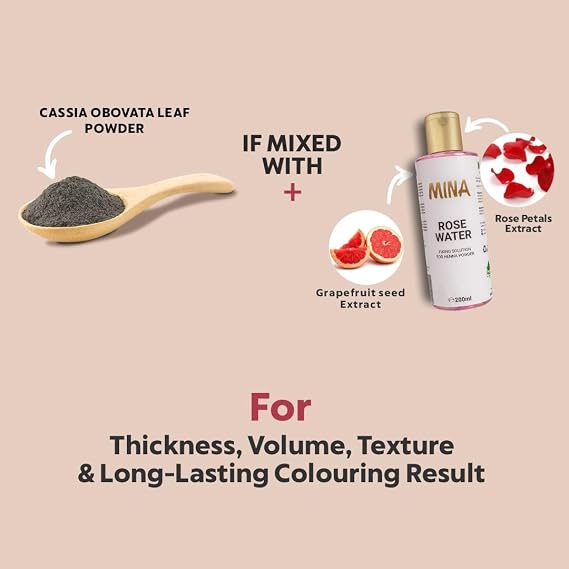 MINA ibrow Henna Regular Pack with Stencils-Combo Pack (Copper Brown)
