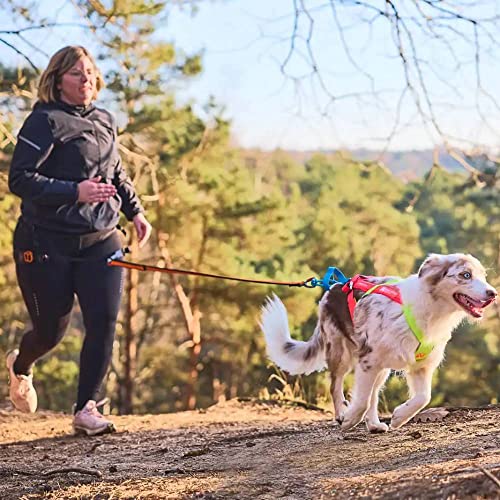 Non-Stop dogwear FREEMOTION Harness 5.0 |111| Limited Edition | Hundegeschirr für alle Sportarten, Größe:7