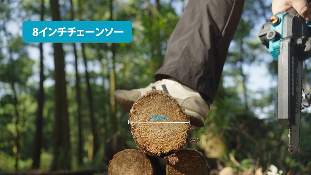Amazon | 【2026 新型 最強力】SEESII 充電式ハンディチェーンソー 8