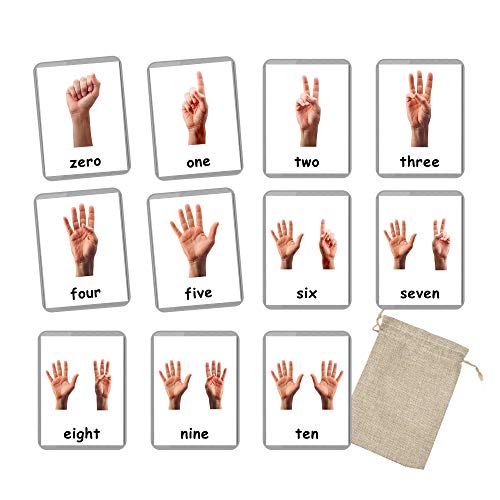 Finger Counting | 11 Counting Flash Cards | Bilingual Flash Cards | Toddler Games | Montessori | Math Flashcards | English Only
