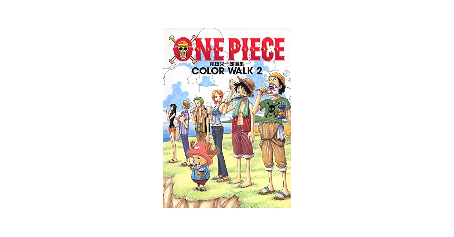 Amazon.com: One Piece Color Walk Art Book, Vol. 2
