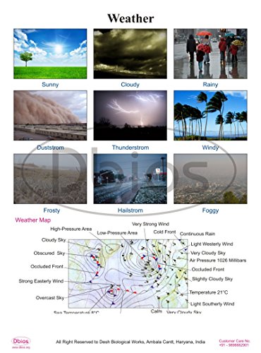 Grafici Dbios Stampa digitale Meteo laminato