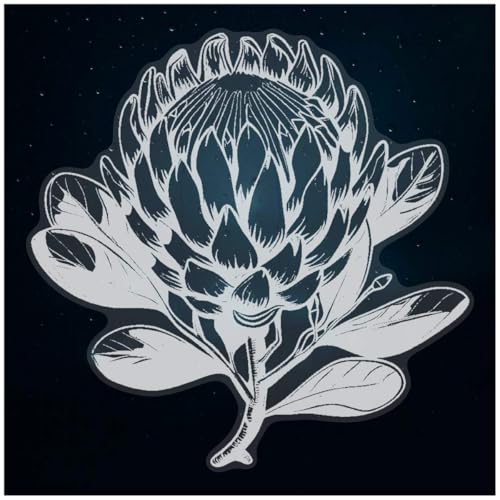 Image of Azeeda Extra Large 720mm 'Protea Flower' Clear Static Window Cling Sticker/Decal (White) (WC00154922)