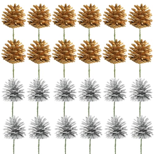 Songjum 24 Stück Natürliche Weihnachts Tannenzapfen Goldene und...