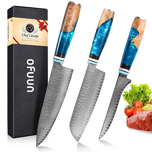 oFuun Juego de Cuchillos de Cocina Profesional, 3PCS Cuchillo Multiusos de Acero Damasco de 67 Capas - 19,3cm Cuchillo Chef, 17,4cm Cuchillo Santoku, 15CM Cuchillo Deshuesar