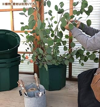 Amazon.co.jp: とんでもないポット：約13号CSM-400（モスグリーン