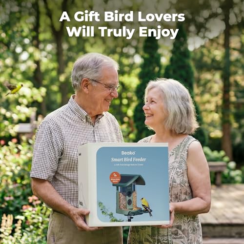 Image of Kiwibit Solar Smart Bird Feeder with Camera, 4K Live Video, No Subscription