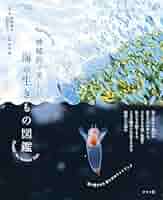 洋書　古書　美しいアンティークブック　1880年発行　海の驚異　海の生き物　自然 Amazon.co.jp: +..。゜+ 海の生き物たちの図鑑 ドイツの