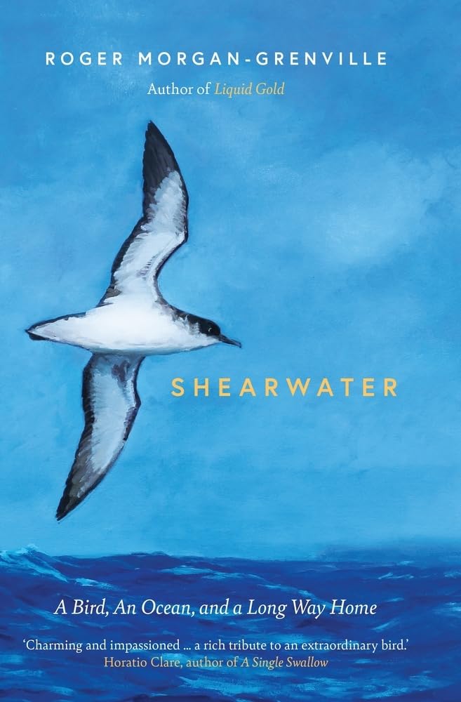 Shearwater by Roger Morgan-Grenville (Hardback Book)
