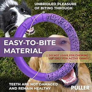 Puller-Outdoor-Dog-Ring-Toys-Dog-Fetch-Toy-Tug-of-War-Dog-Toy-for-Small-Medium-Large-Dogs-Dog-Ball-Soft-Dog-Frisbee-Alt-Outside-Dog-Yard-Toys-Big-Dog-Pull-Toy-Dog-Agility-Jumps-Tool - Cucciolini Doodles   Puller-Outdoor-Dog-Ring-Toys-Dog-Fetch-Toy-Tug-of-War-Dog-Toy-for-Small-Medium-Large-Dogs-Dog-Ball-Soft-Dog-Frisbee-Alt-Outside-Dog-Yard-Toys-Big-Dog-Pull-Toy-Dog-Agility-Jumps-Tool