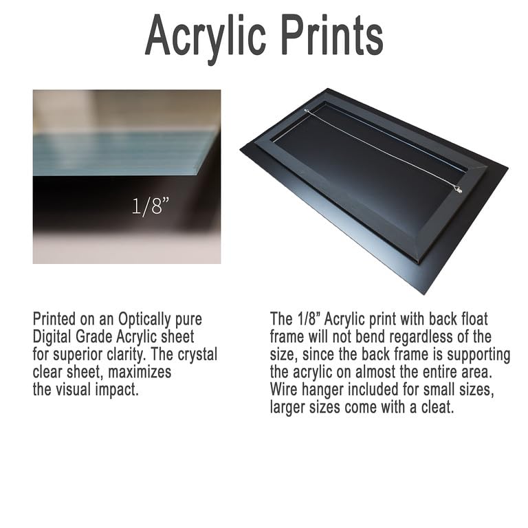 Splashing Bull Moose at Schwabacher Landing in Grand Teton National Park Photograph, Wall Art for Home and Living Room Décor (72