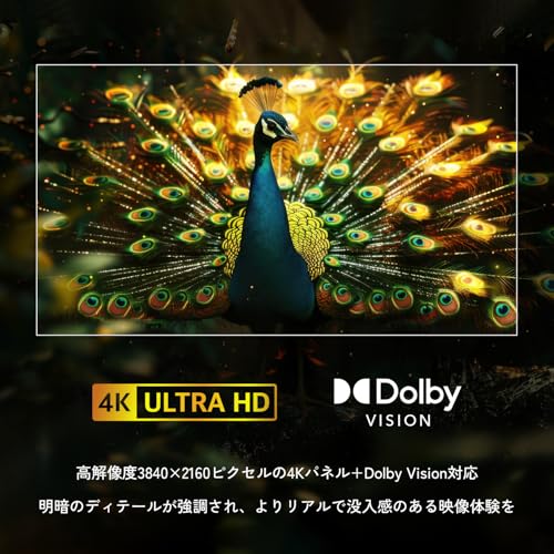 undefined 山善 テレビ Wチューナー 液晶 4K 43インチ QRK-43W4KST ネット動画対応 Dolby Vision/Atmos対応 の商品画像 4
