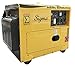 POWER PRODUCTS Sigma 7000W Silent Diesel Generator EPA Approved