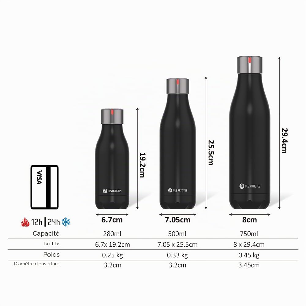 LES ARTISTES Paris A-2230 Bottle'Up, 750 ml, Bouteille isotherme, Gourde isotherme sans BPA, Réutilisable, Garde au chaud 12h et au froid 24h, Acier Inoxydable, Design Stainless Steel