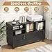 Semoic 2 Drawer Wood Lateral File Cabinet with Lock, Lockable Rolling Filing Cabinet with Adjustable Storage Shelves, Printer Stand Office Storage Cabinet for Home Office Fits Files Legal/A4, Black