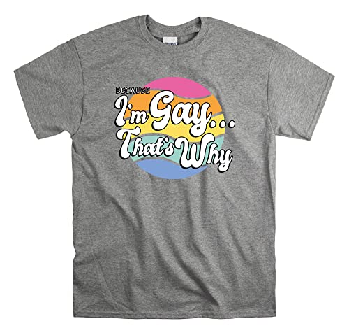 T-shirt gay gris coupe unisexe confortable taille S homme femme