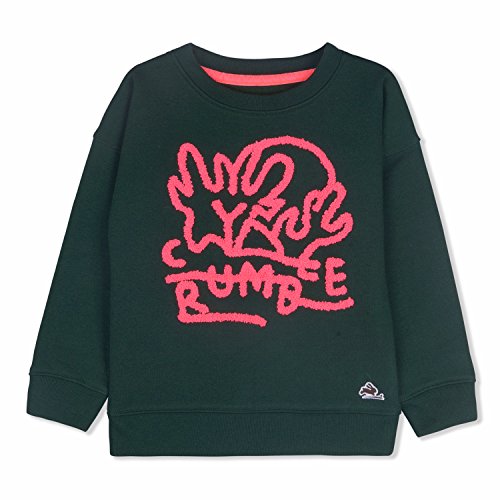 Image of Boys Cotton Crew Neck Sweatshirt