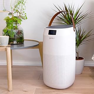 Igenix IGAP0001 Replacement H13 HEPA Filter for IG9600WIFI