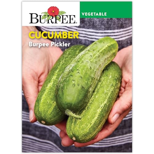 Burpee 'Pickler' Cucumber Seeds - Non-GMO, Container Friendly, Burpee Bred, Early Maturing, Direct Sow, Pickling Cucumber, 700mg Seed Packet for Home Gardening