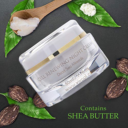 Vivo 609728457525 Per Lei Dead Sea Night Cream - Anti Aging Night Cream For Face - 1.7 Fl.Oz - Moisturizing Night Cream With Shea Butter - Night Facial Cream thumb #3