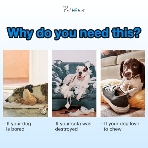 Image of Cotton Rope Balls for Dogs and Pets |Puppy Toys Small Rope Balls for Teething |Durable Chew Cotton Rope Balls |Pet Friendly Washable Dog Toy Rope Ball for Small and Medium Dogs (Blue)