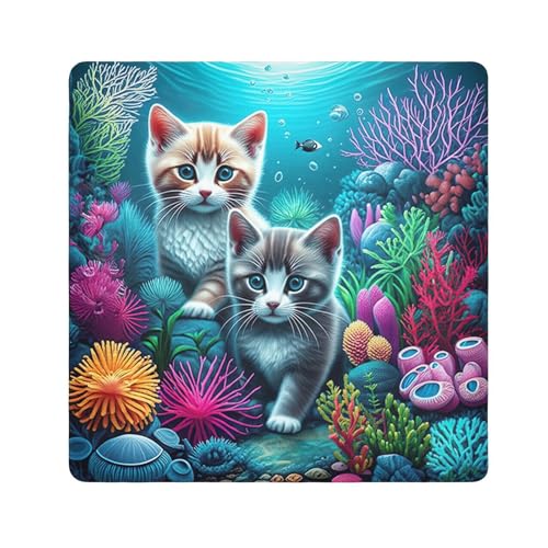 ODAWA Kittens Colorful Coral 21.7