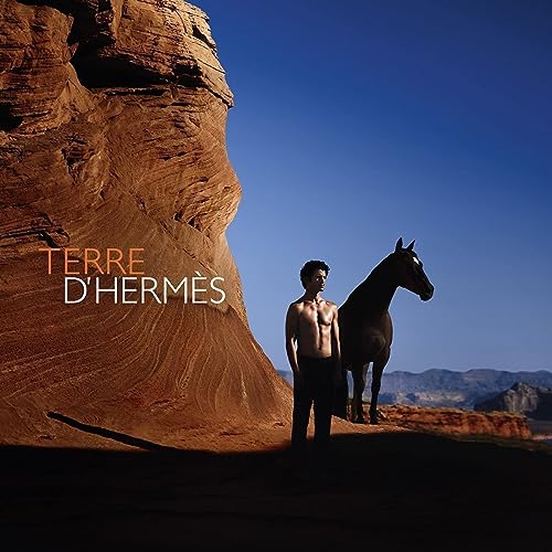 hermes Terre D' Aftershave Lotion for Men 100 ml - Image 8